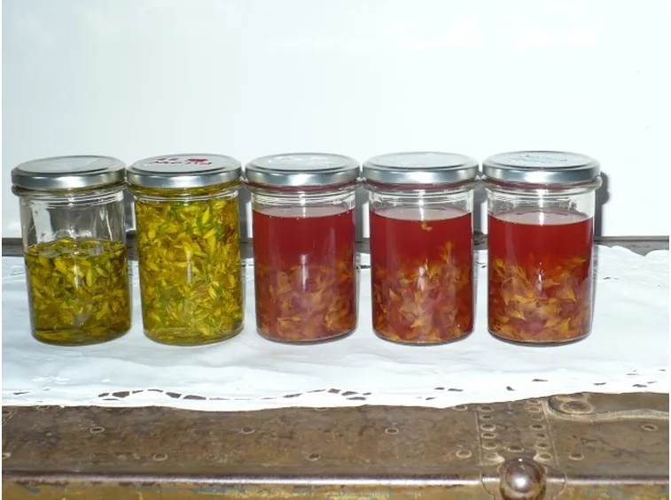 olio iperico-4