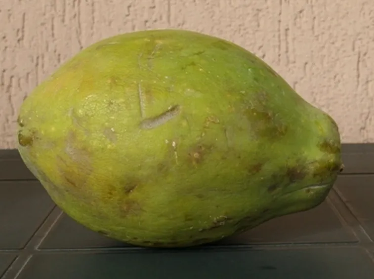 Frutti tropicali
