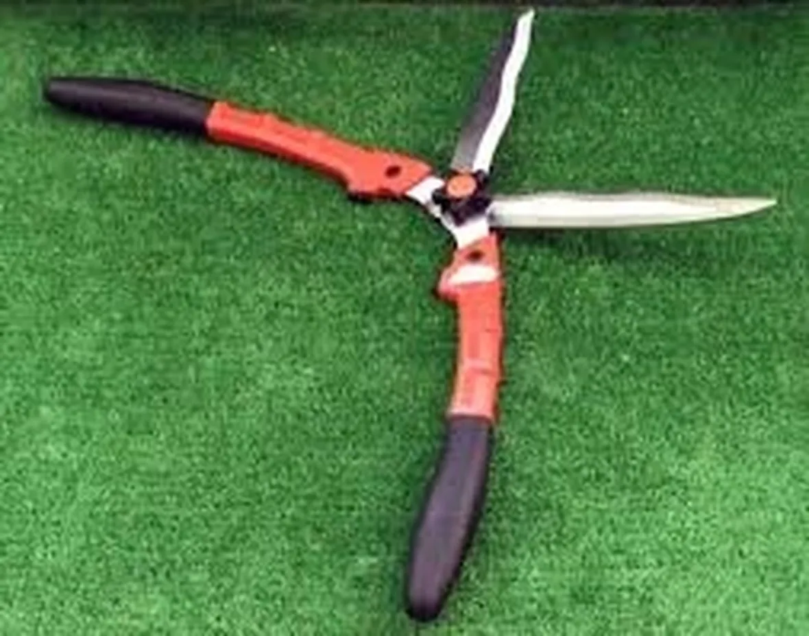 Come scegliere il tagliasiepe elettrico