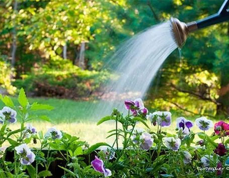 giardinaggio : Annaffiatoio personalizzato 