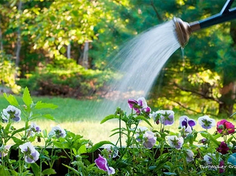 giardinaggio : Annaffiatoio personalizzato 