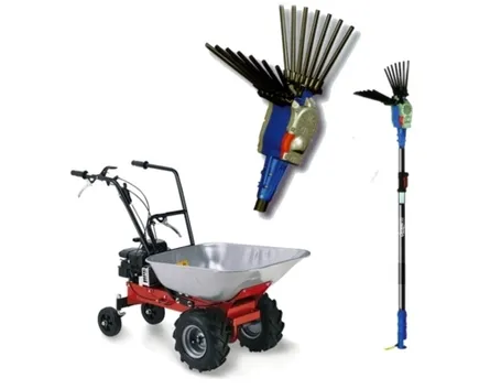 motocarriole-3