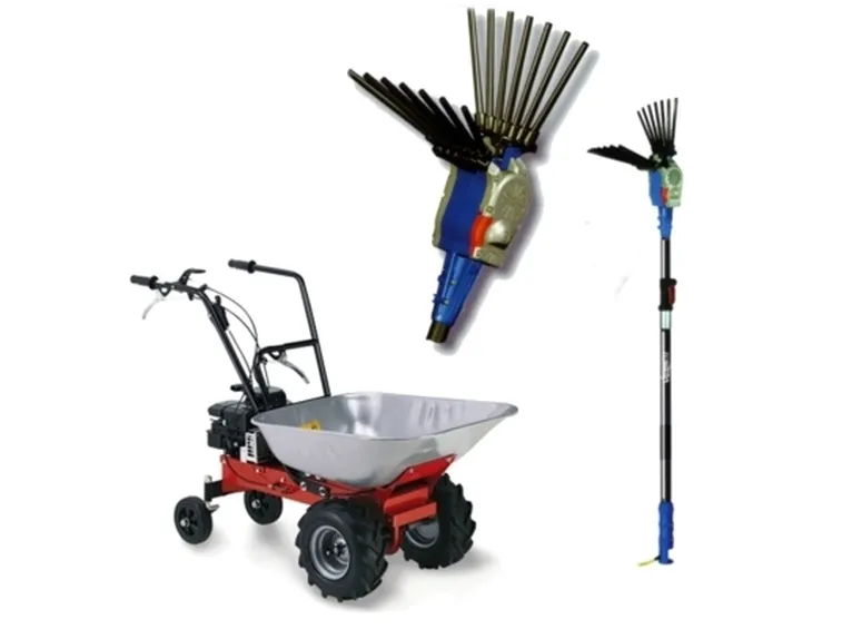 motocarriole-3