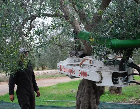scuotitori per olive-3