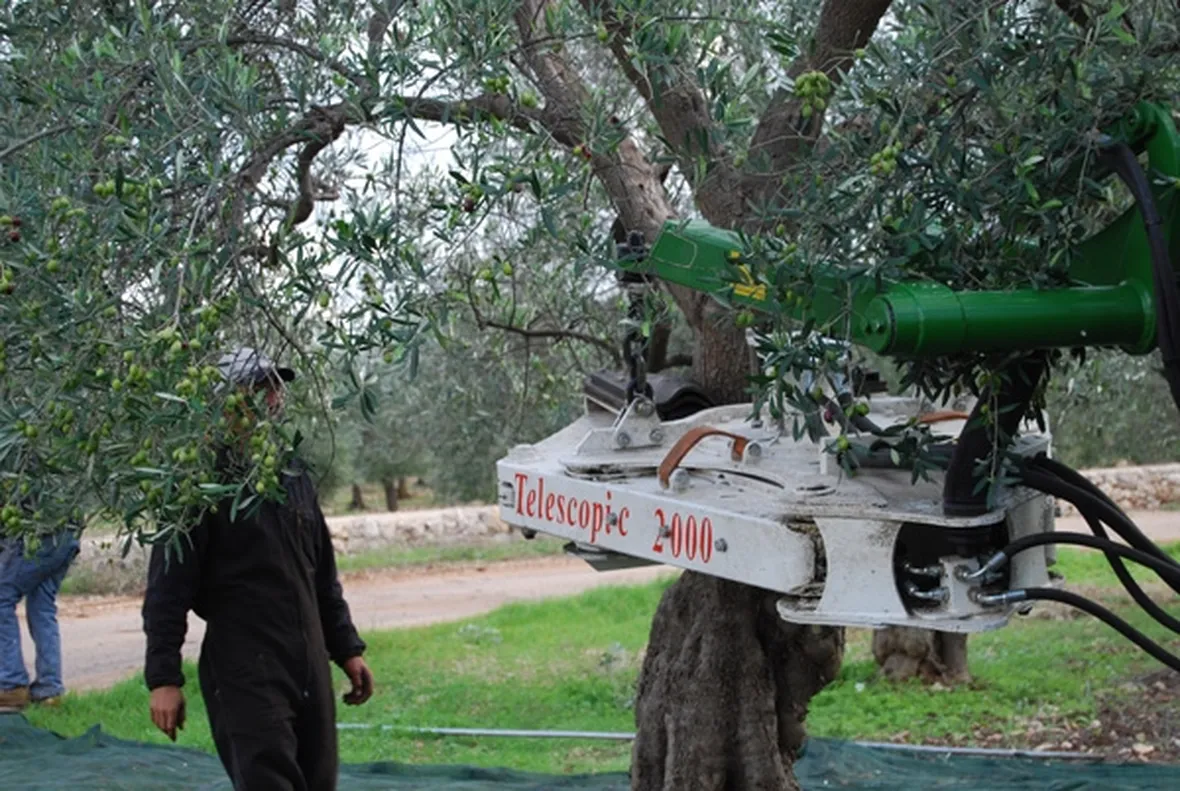 scuotitori per olive-3