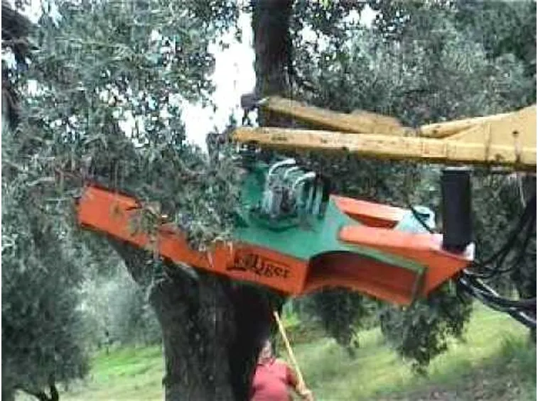 scuotitori per olive-6