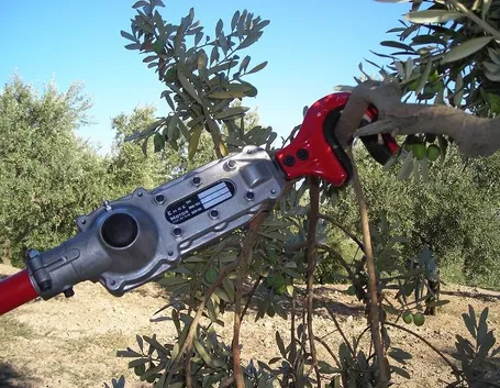 scuotitori per olive-9