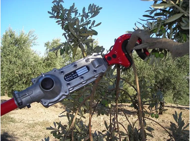 scuotitori per olive-9