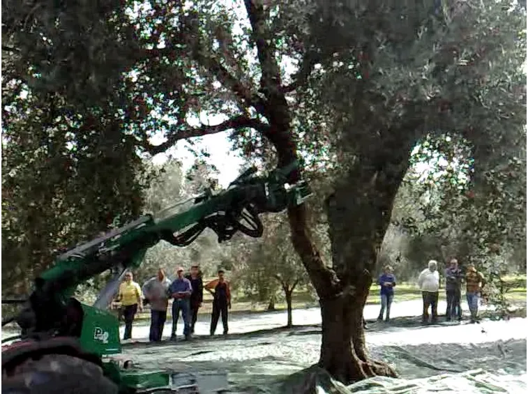 scuotitori per olive