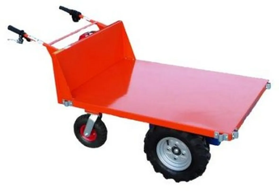motocarriole-5