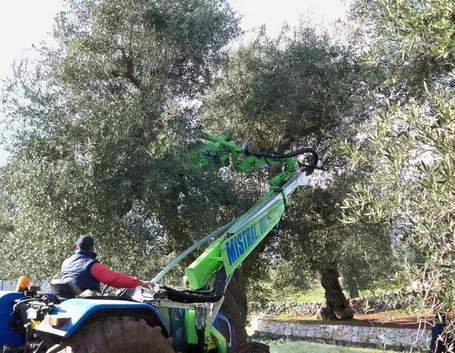 scuotitori per olive-8
