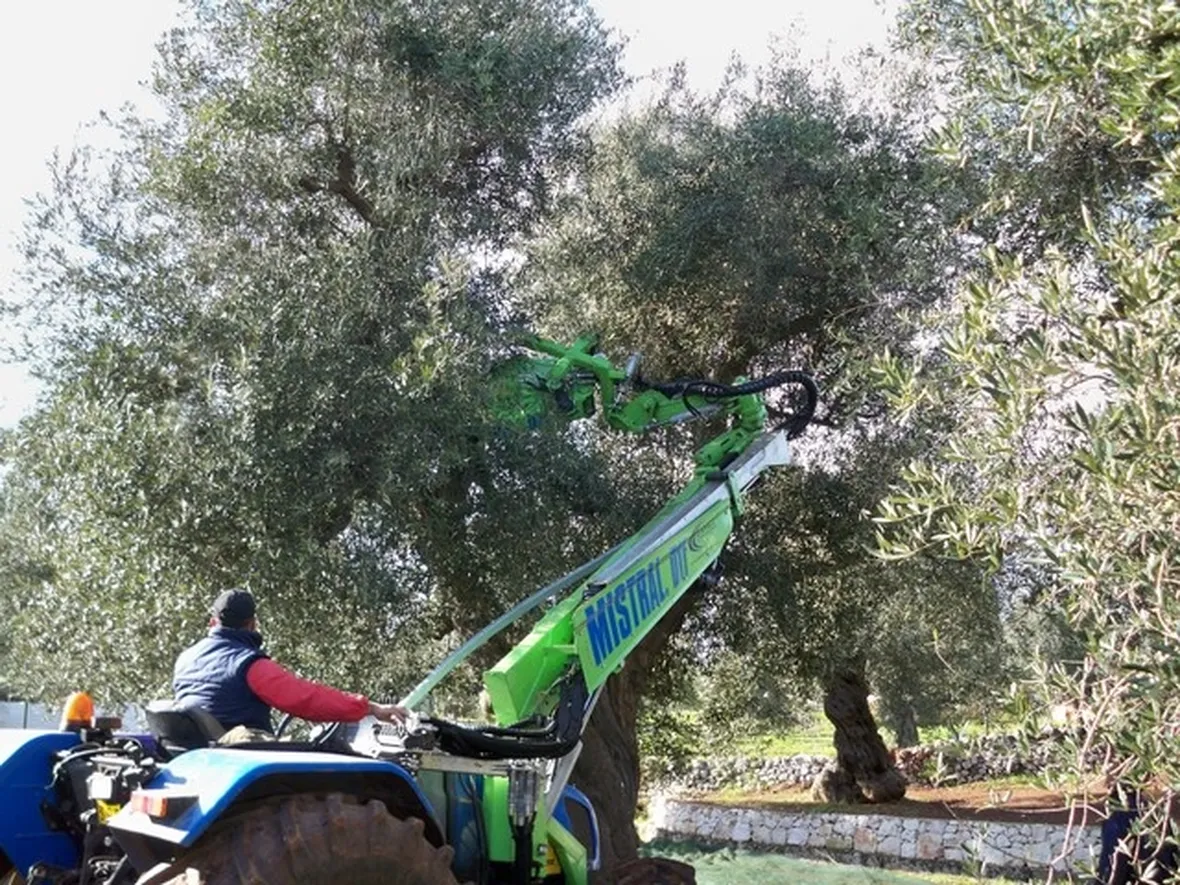 scuotitori per olive-8