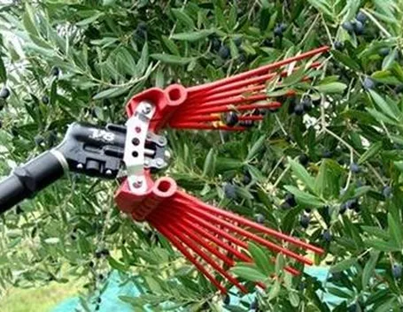 scuotitori per olive-9