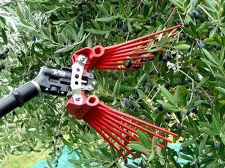 scuotitori per olive-9