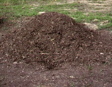 Come si effettua il compostaggio?