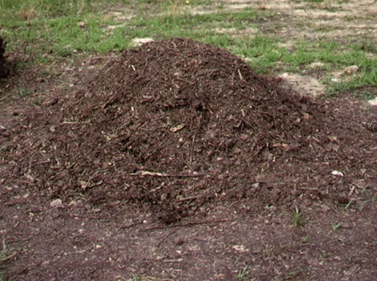 Come si effettua il compostaggio?