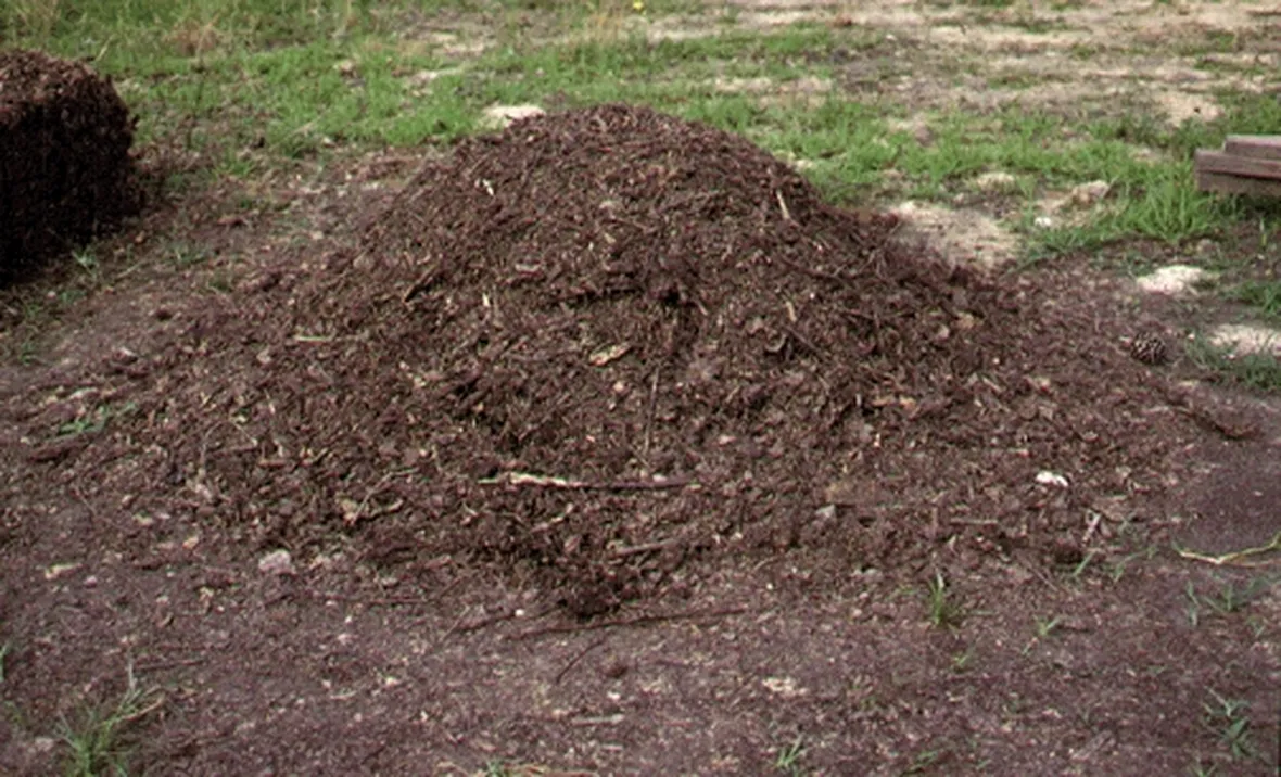 Come si effettua il compostaggio?