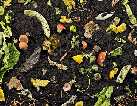 Compostaggio