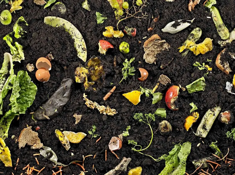 Compostaggio