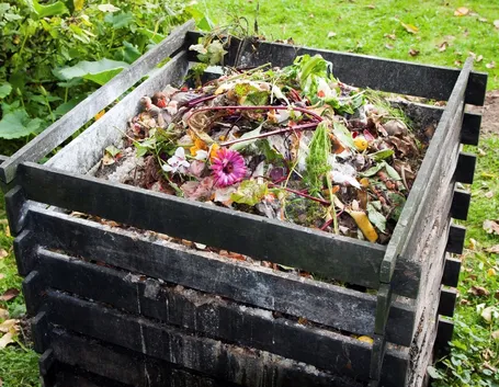 Compostaggio