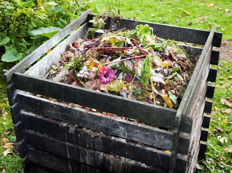 Compostaggio