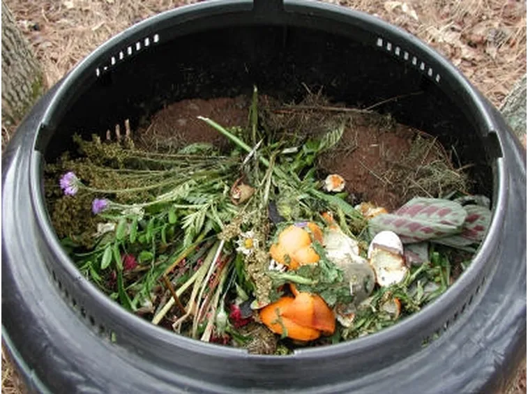 Compostaggio-6