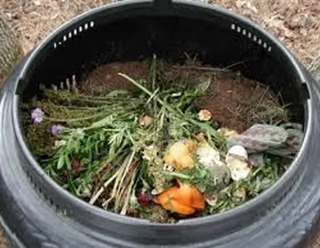 Compostaggio e rotazione delle colture