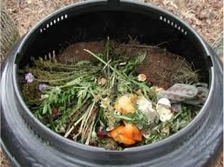 Compostaggio e rotazione delle colture