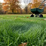 Cosa fa il potassio al prato prima dell'inverno