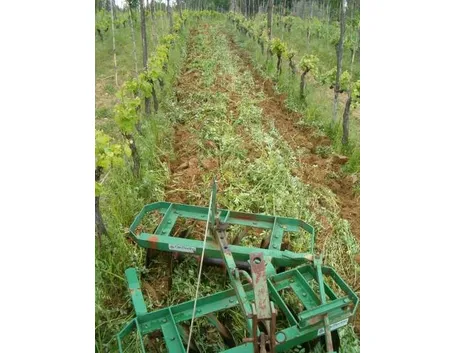 Sovescio-2