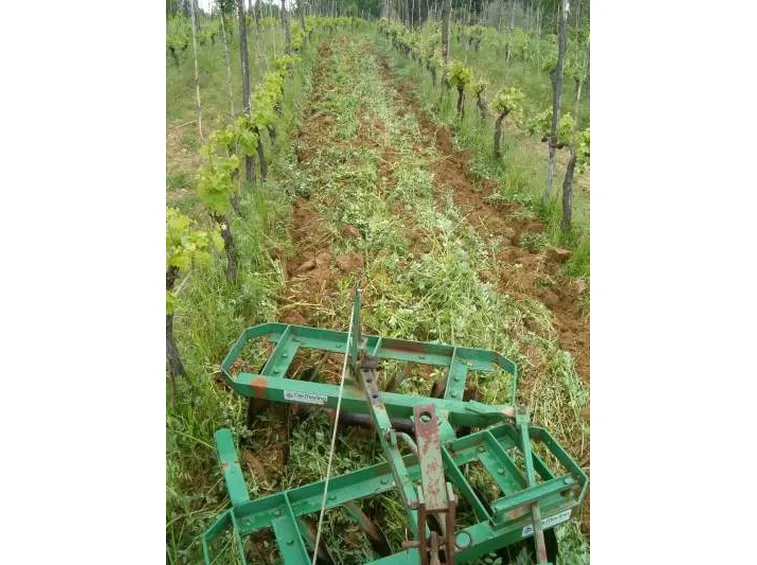 Sovescio-2