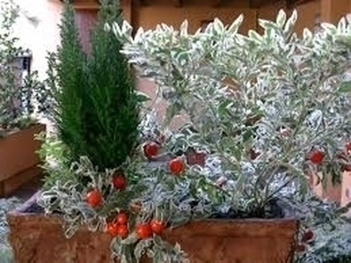 fioriere da balcone-7