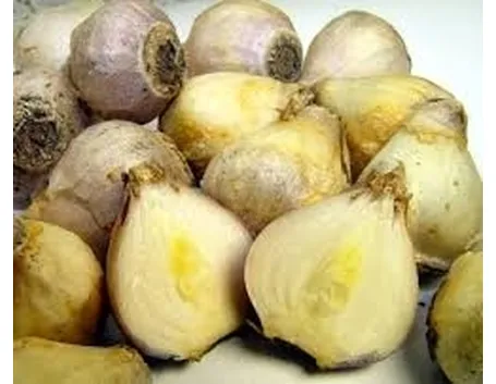 Bulbi, tuberi, rizomi