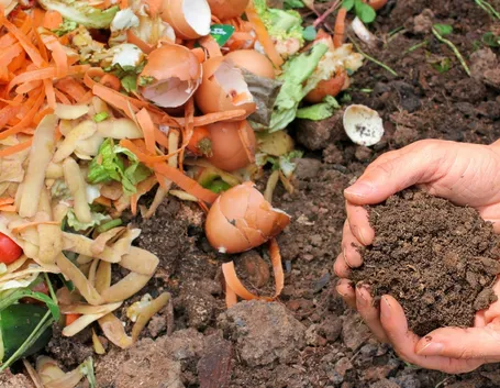 Compostaggio