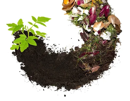 Compostaggio
