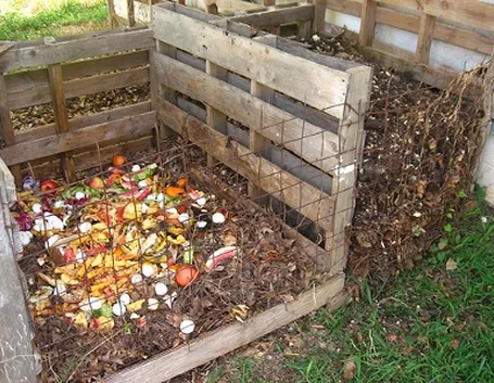 Compostaggio-4