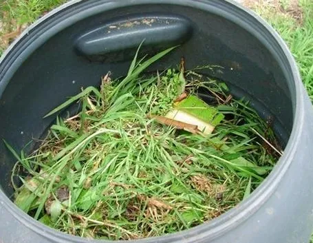 Compostaggio-7