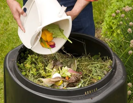 Compostaggio e rotazione delle colture