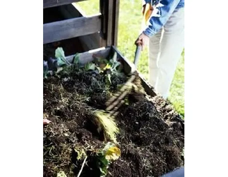 Compostaggio