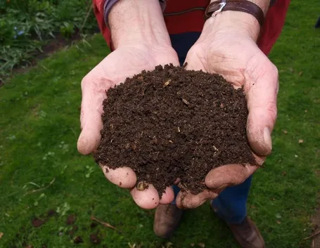 Concimazione, Clima e Terreno