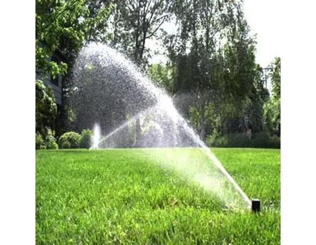 Esposizione e irrigazione