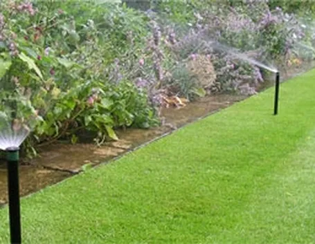 impianto irrigazione : Impianto di irrigazione a goccia