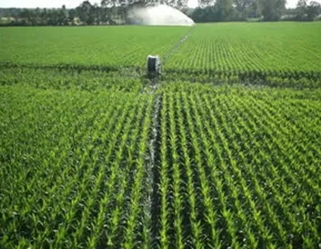 Irrigazione