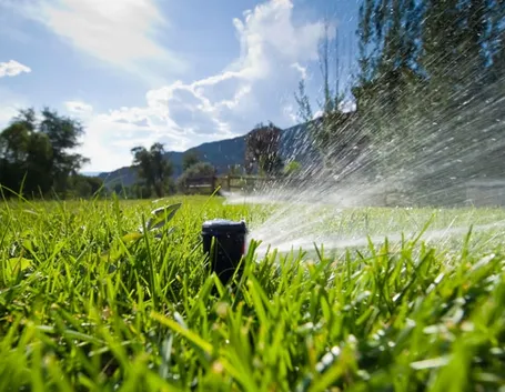 Risposta: l'impianto di irrigazione