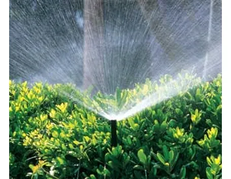 Semina e irrigazione