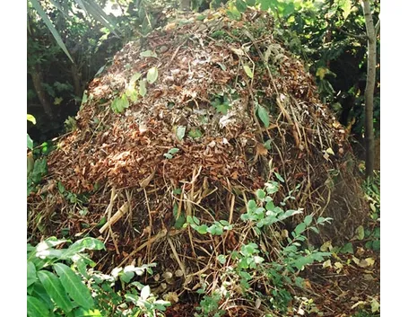 Terreno e concimazione
