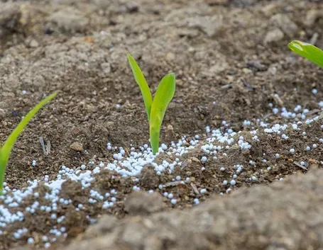 Terreno  e concimazione
