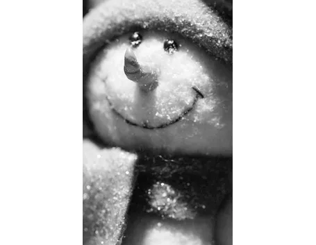 Pupazzo di neve