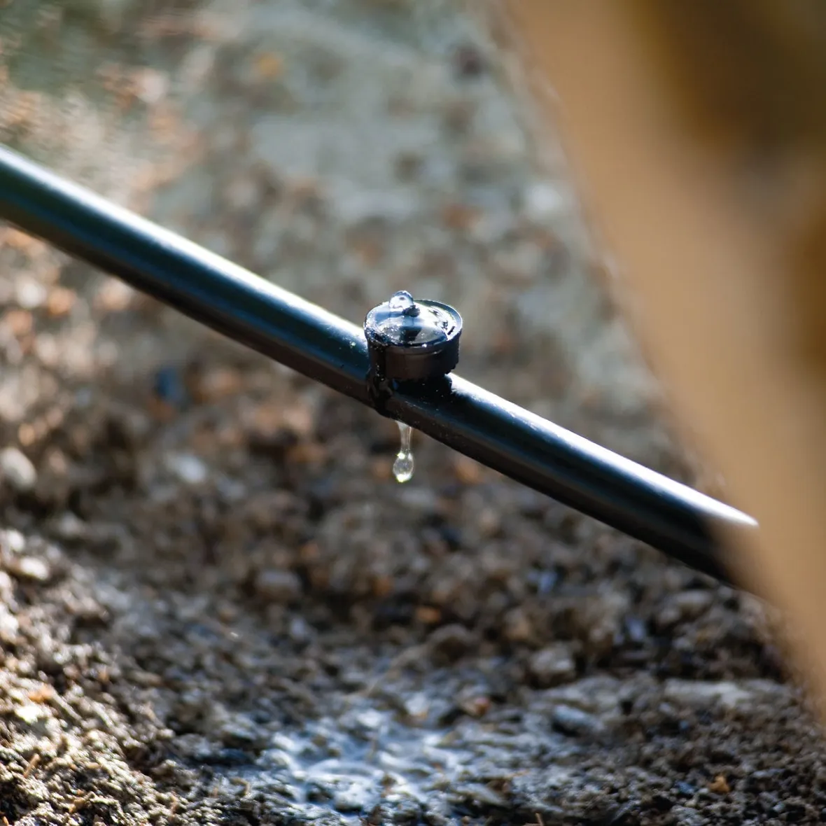microirrigatori-5