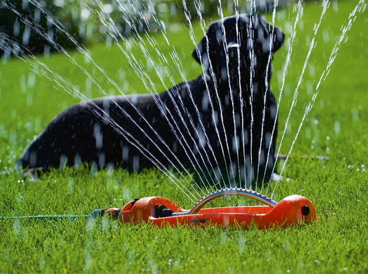irrigatori oscillanti-4